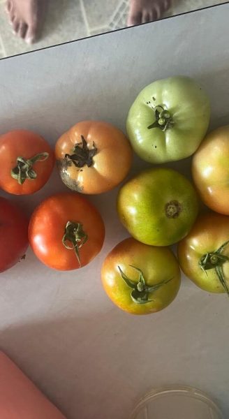 WhatsApp Image 2024-09-16 at 7.39.47 AM